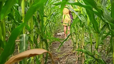 omg sexy hairy milf masturbates with corncob in cornfield 1733497064